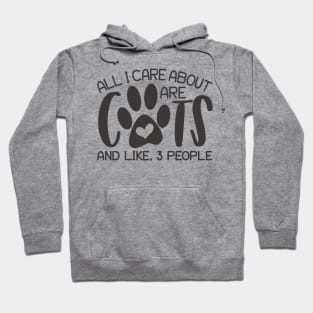 all i care about are cats Hoodie